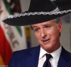 Gavin Newsom Sombrero Meme Template