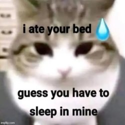 rizz line Meme Template