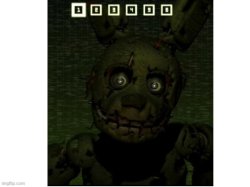 what the fuck please Meme Template