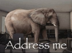 address me Meme Template