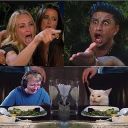 Woman yelling at cat 4 panels Meme Template