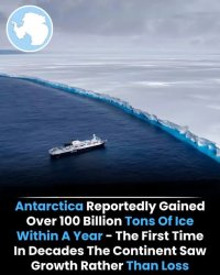 Libtards Are Liars. Meme Template