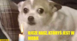 pies ojcze nasz Meme Template