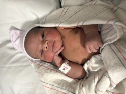 Damaria king Meme Template