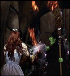 Dorothy throws water on the witch Meme Template