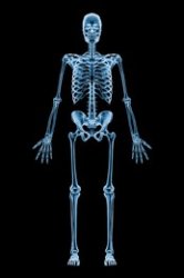 Xray body Meme Template