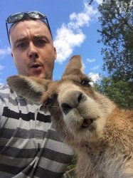 kangaroo selfie Meme Template