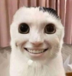 Vacation denied Meme Template