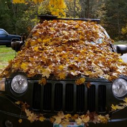 Chrisjoines1 Meme Template