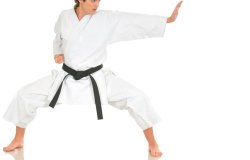 Black Belt Meme Template