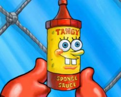 tangy sponge sauce Meme Template