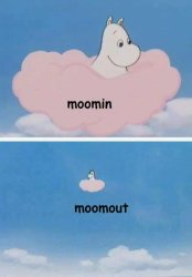 moomin moomout Meme Template