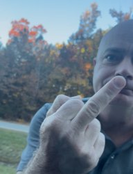 Road rage turtle Meme Template