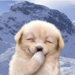 No, You Are The Stink Meme Template