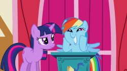Rainbow Dash Geeking Out Next to a Normie Meme Template