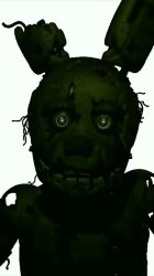 springtrap the rabbits Meme Template