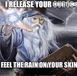 I release your inhibitions wizard meme Meme Template