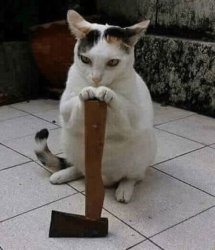 Cat with axe Meme Template