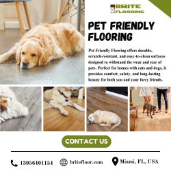 Pet Friendly Flooring Meme Template