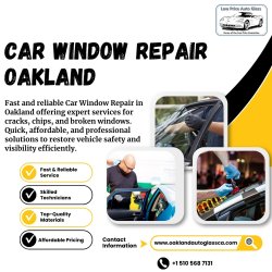 Car Window Repair Oakland Meme Template