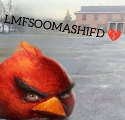 Laughing my fucking shit out of my ass so hard I fucking died Meme Template