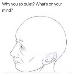 why so quiet Meme Template