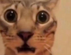 we're cooked gng... Meme Template