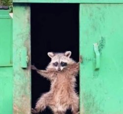 Raccoon opening garbage door Meme Template