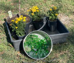 Beach glass and cheap Mums Meme Template