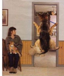 Chrisjoines1 Meme Template