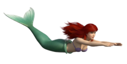 ariel swimming Meme Template