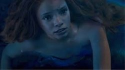 halle is defeated Meme Template