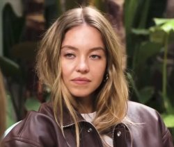 Evil Sweeny compact Meme Template