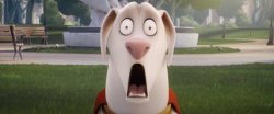 Krypto the superdog shocked Meme Template