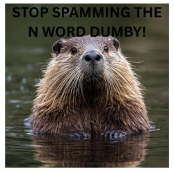 stop spamming the n word dummy Meme Template