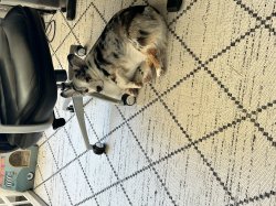 Weekend Vibes Meme Template