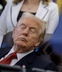 Sleepy Don Meme Template