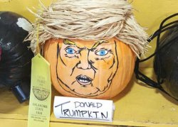 Donald Trumpkin Pumpkin Trump MAGA Funny Meme Template