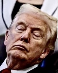 Trump asleep or dead Meme Template