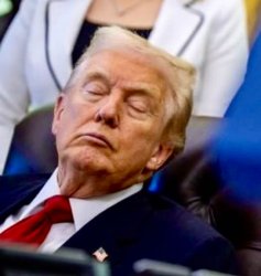 Sleepy Don Meme Template