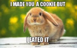 I made you a cookie but I eated it bunny Meme Template