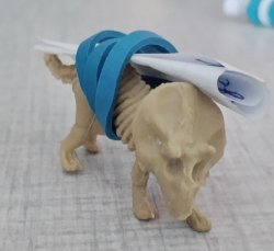 Dino skeleton bringing message Meme Template