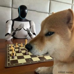 KIBSHI Dog playing 4D chess with AI Meme Template