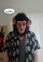 Kletus Gaming My Favorite Meme Template