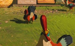 Chicken watching Meme Template