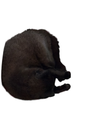 Mirris from Falkenberg Meme Template