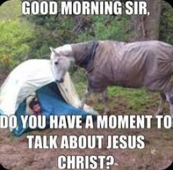 Horse tent Meme Template