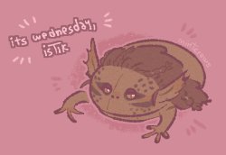 It's Wednesday, istik Meme Template