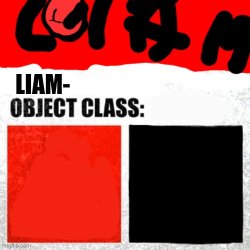 Liam Label Meme Template