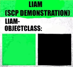 Liam Safe Meme Template